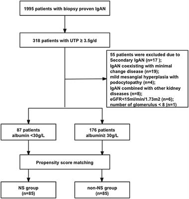 Distinct characteristics and prognosis of IgA nephropathy patients with nephrotic syndrome: a propensity score-matched cohort study